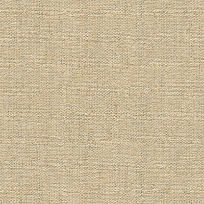 KRAVET DESIGN  TEXTURE BEIGE,BEIGE,   - 34129.1116.0