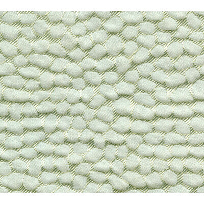 KRAVET DESIGN  SMALL SCALE CELERY,WHITE,   - 34138.23.0