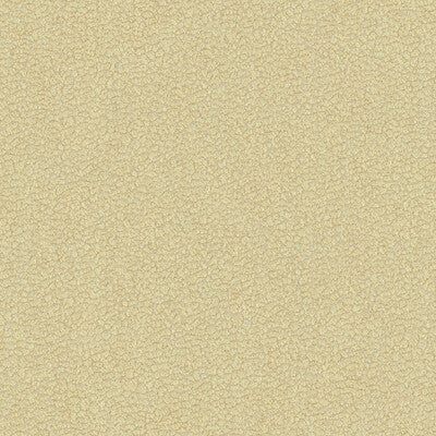 KRAVET DESIGN CHENILLE ANIMAL SKINS BEIGE,BEIGE,   - 34177.16.0