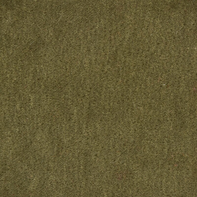 KRAVET COUTURE MOHAIR TEXTURE GREEN,GREEN,   - 34258.311.0