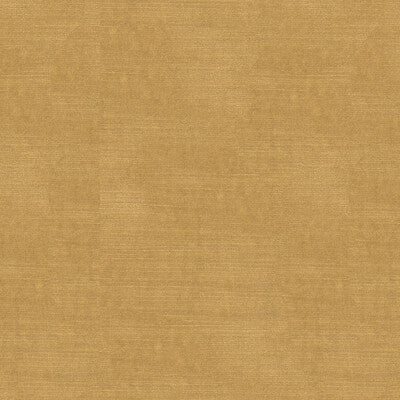 KRAVET COUTURE VELVET TEXTURE BEIGE,BEIGE,   - 34329.1116.0