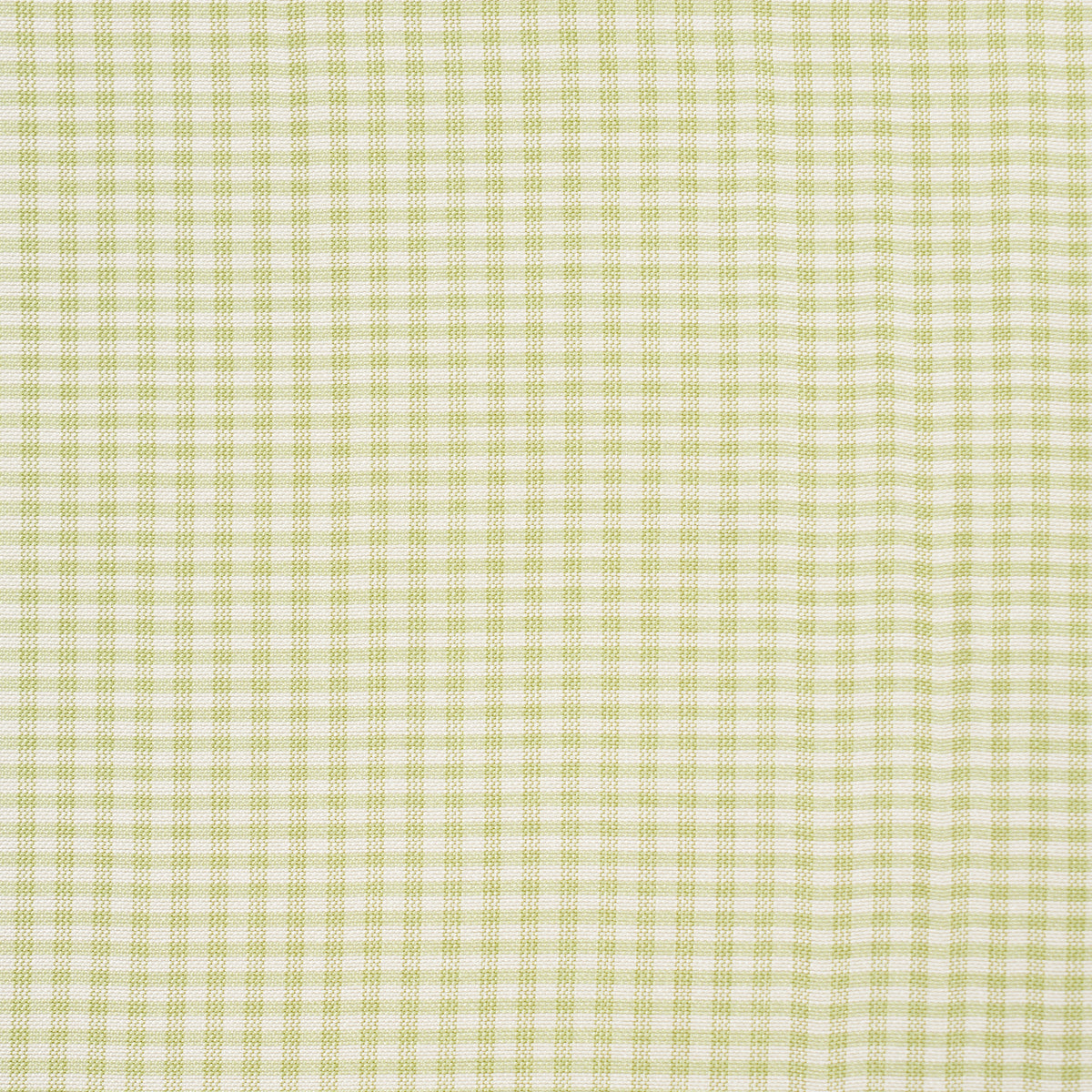 SCHUMACHER  CHROMA DALTON SILK GINGHAM SILKS & SATIN SILKS & SATIN LEAF   - 3449000
