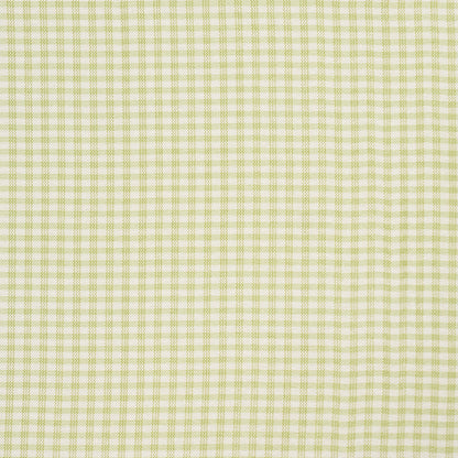 SCHUMACHER  CHROMA DALTON SILK GINGHAM SILKS & SATIN SILKS & SATIN LEAF   - 3449000