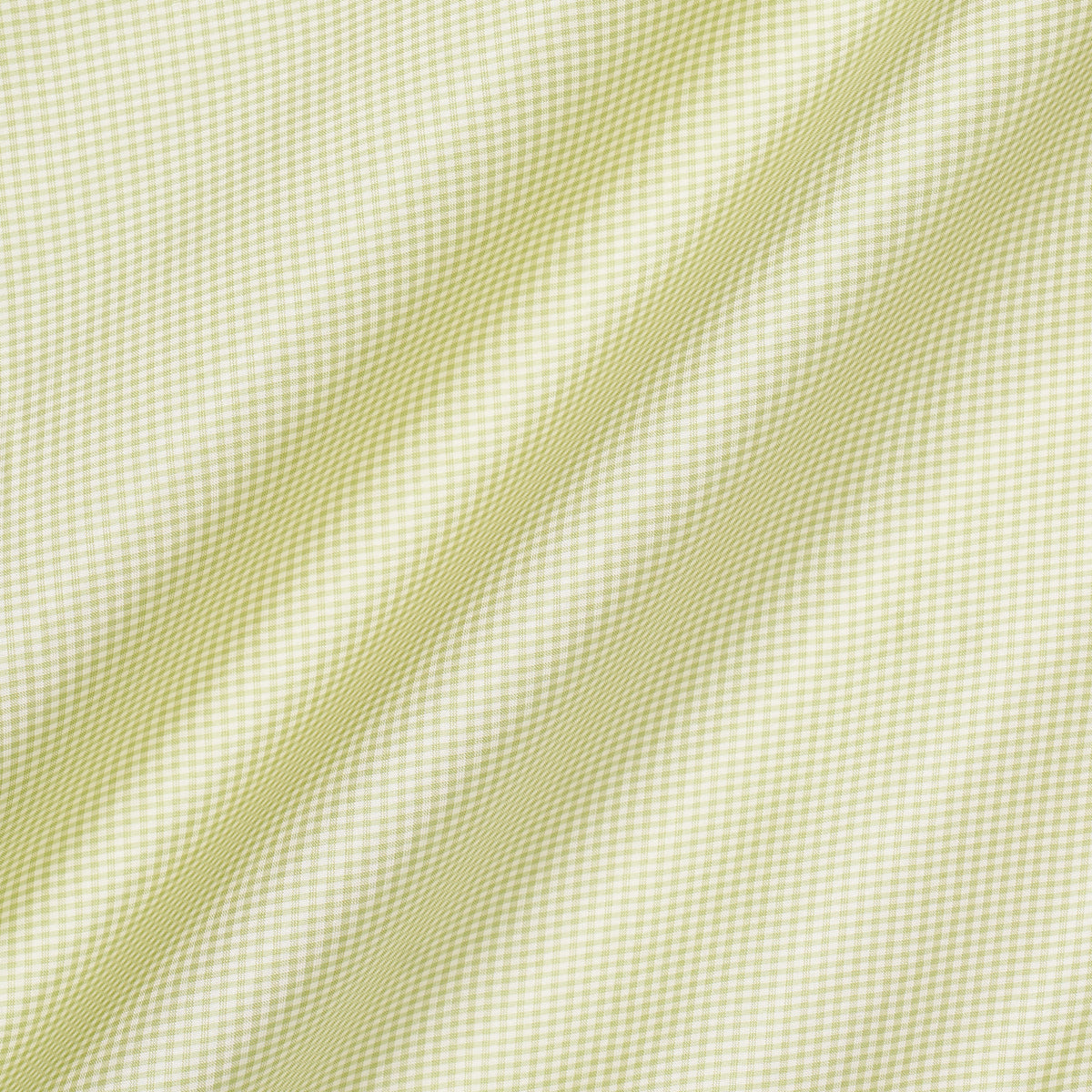 SCHUMACHER  CHROMA DALTON SILK GINGHAM SILKS & SATIN SILKS & SATIN LEAF   - 3449000