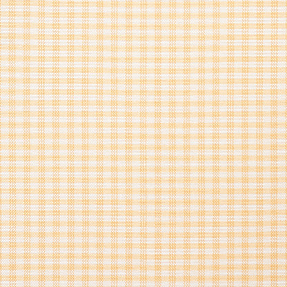 SCHUMACHER FABRIC  CHROMA DALTON SILK GINGHAM   STRAW   - 3449001