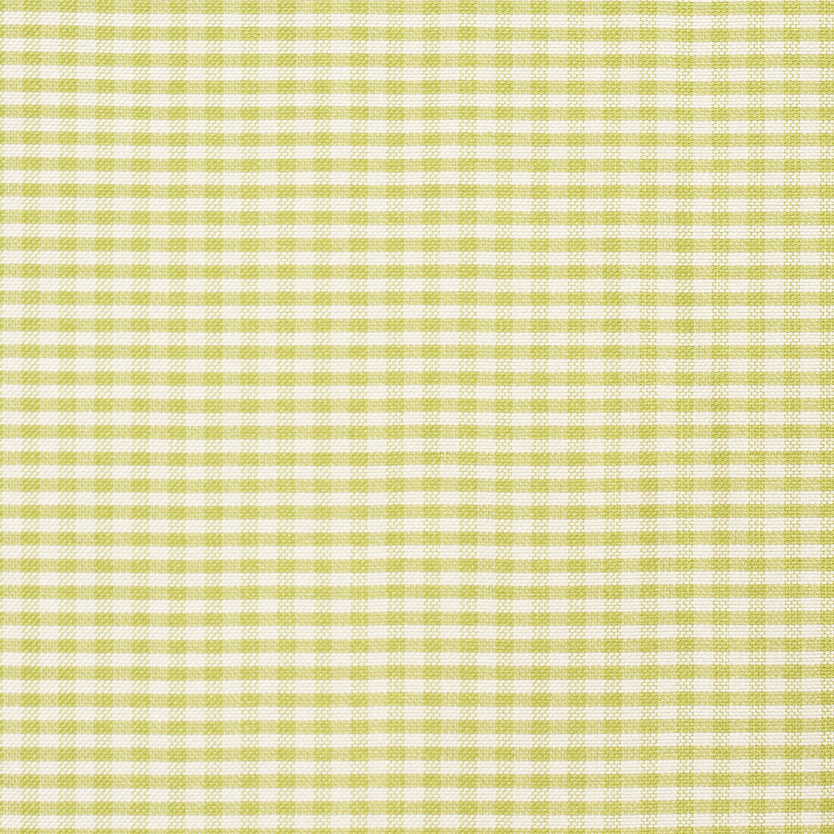 SCHUMACHER  CHROMA DALTON SILK GINGHAM SILKS & SATIN SILKS & SATIN CHARTREUSE   - 3449006