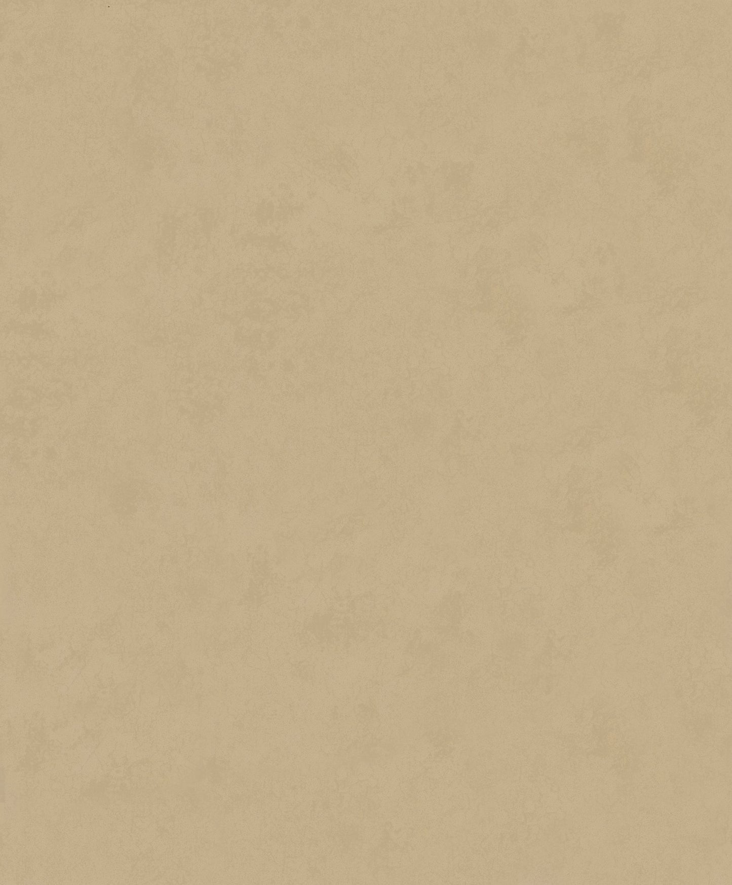 GALERIE WALLCOVERINGS TERRA Uni Plain Texture  Beige A subtle plaster effect showing lovely earthy textures.     - TR34630