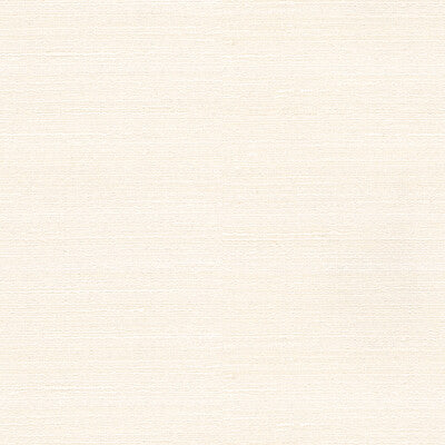 KRAVET BASICS  TEXTURE WHITE,WHITE,   - 34672.1.0