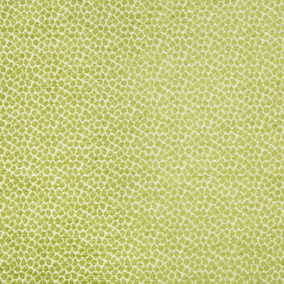 KRAVET DESIGN CHENILLE ANIMAL SKINS GREEN,WHITE,   - 34682.3.0