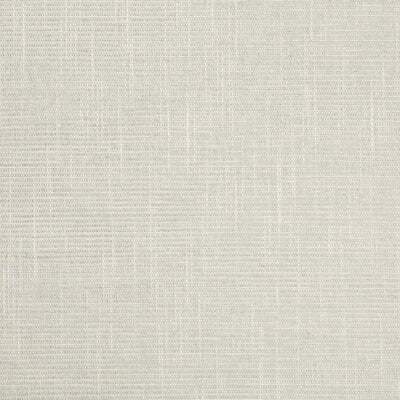 KRAVET COUTURE CHENILLE TEXTURE LIGHT GREY,LIGHT GREY,   - 34842.11.0