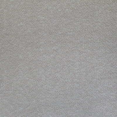 KRAVET COUTURE BOUCLE TEXTURE WHITE,WHITE,   - 34956.111.0