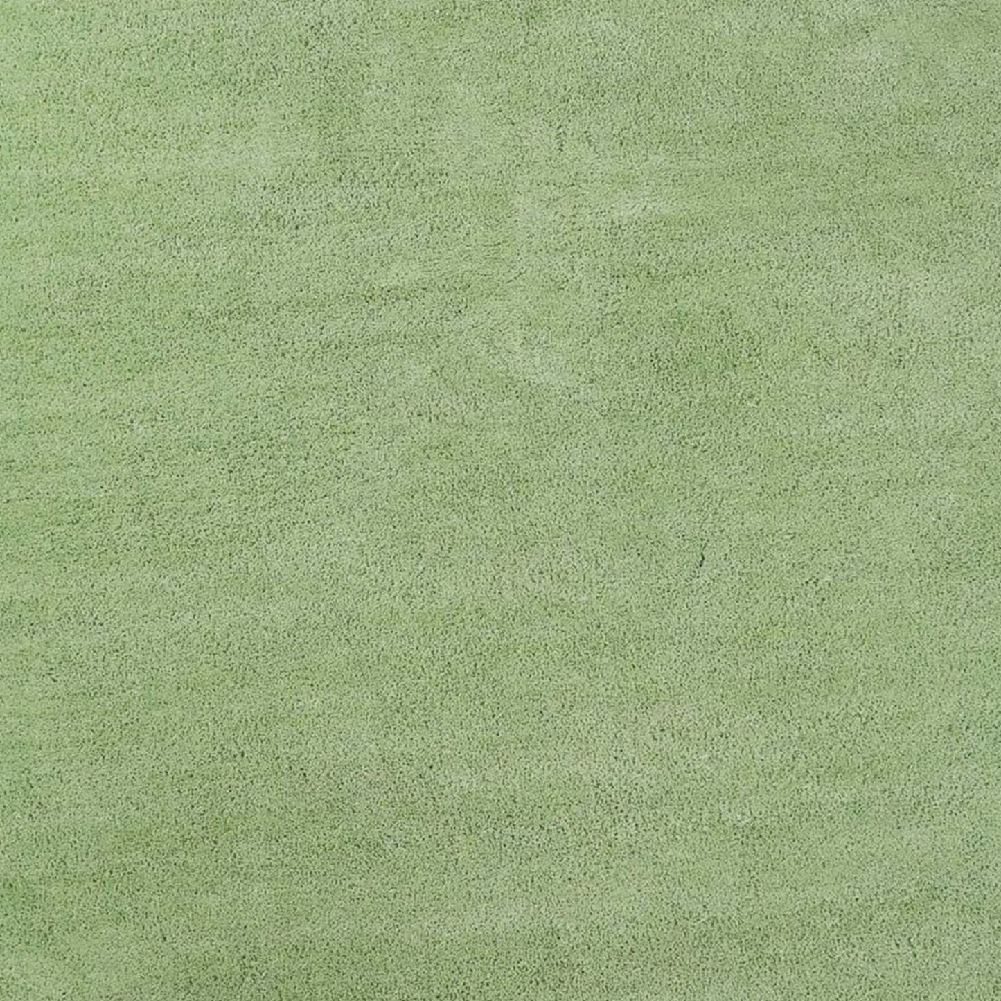 5' X 7' Spearmint Green Indoor Shag Rug