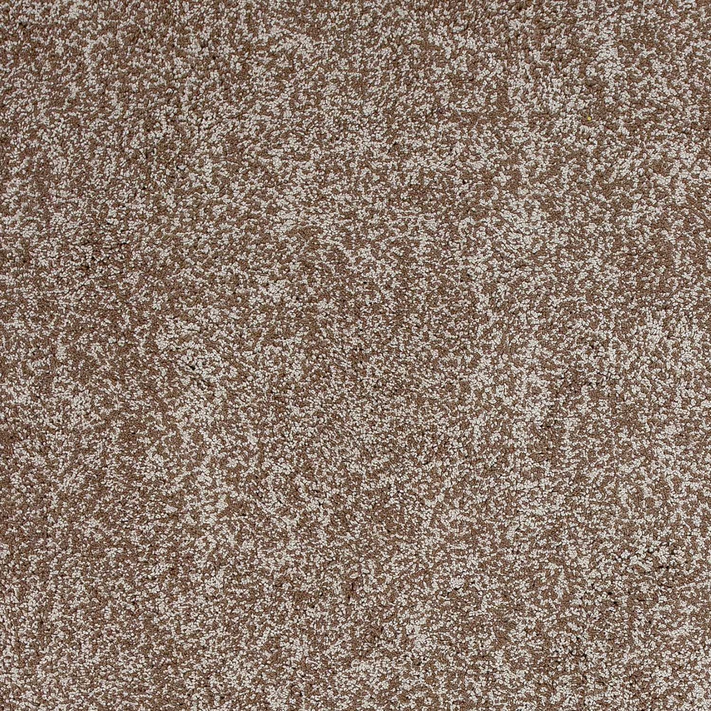 5' X 7' Beige Heather Indoor Shag Rug