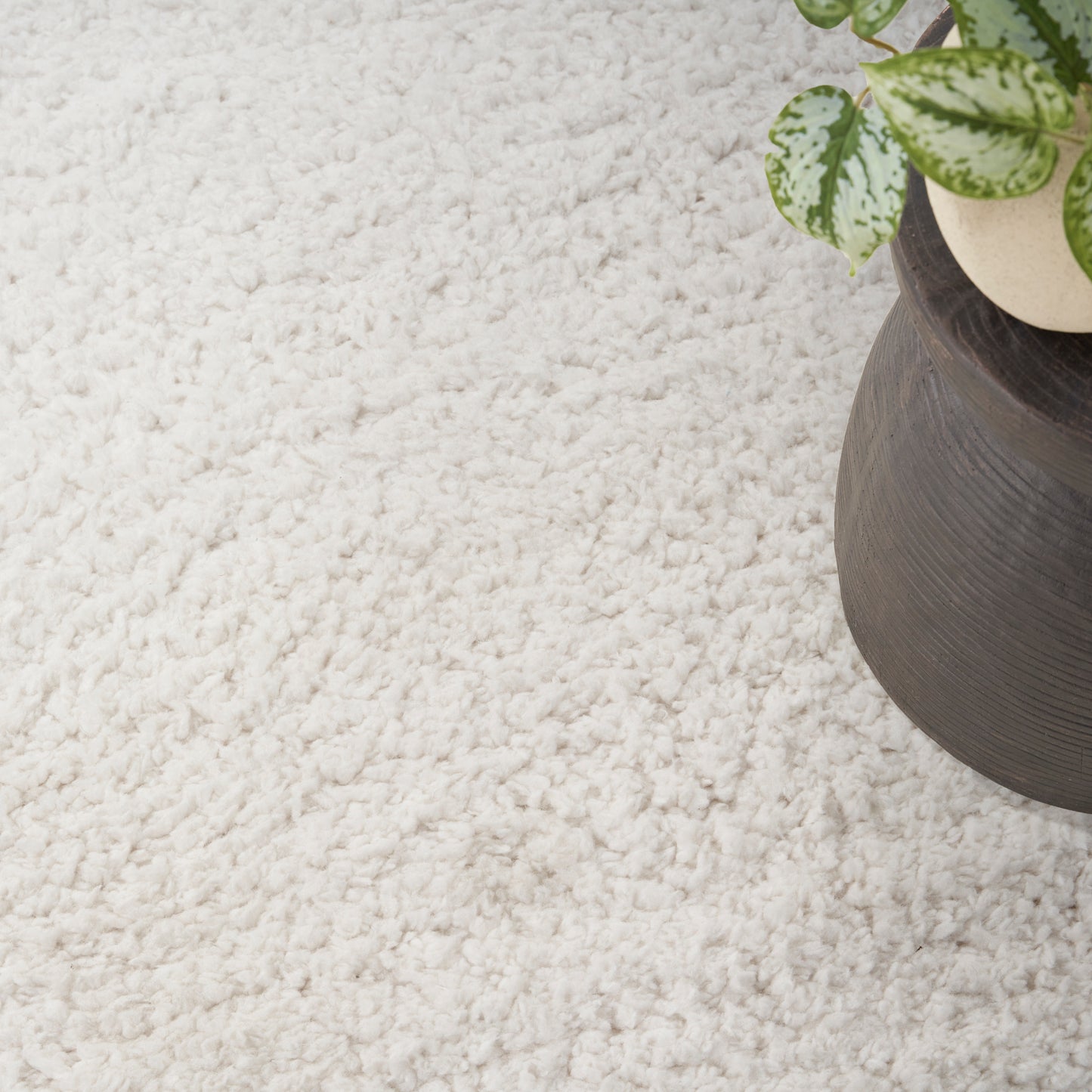 Cream shag rug with a dark brown ceramic planter and a variegated green plant.