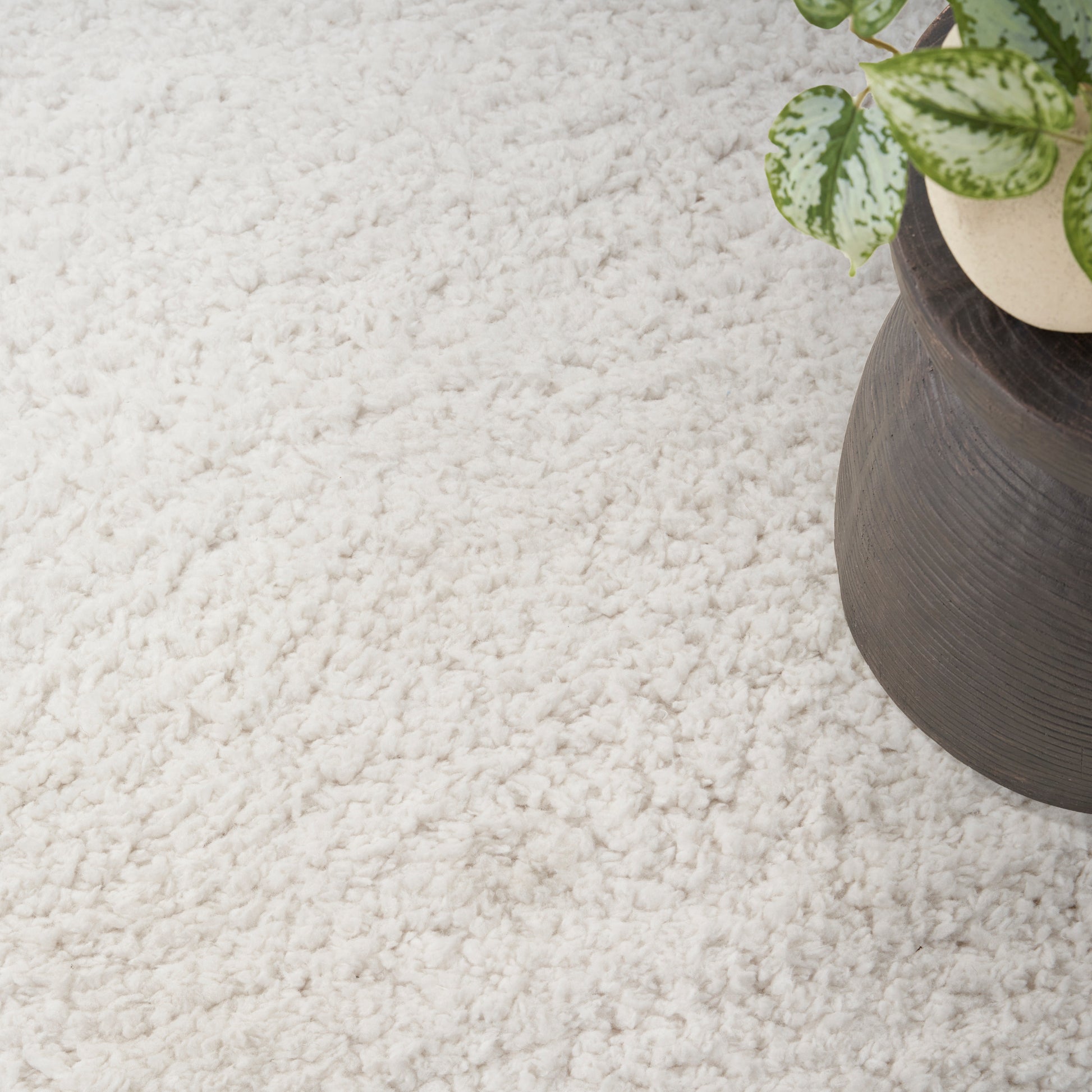 Cream shag rug with a dark brown ceramic planter and a variegated green plant.