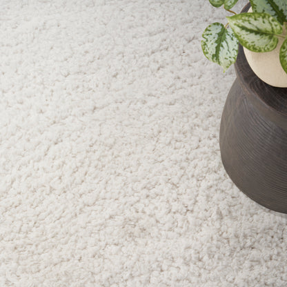 Cream shag rug with a dark brown ceramic planter and a variegated green plant.