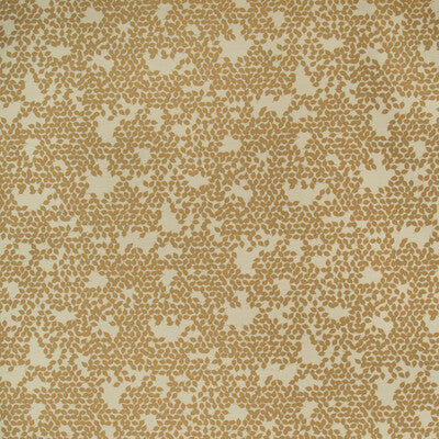 KRAVET CONTRACT CRYPTON BOTANICAL & FLORAL BEIGE,GOLD,   - 35091.4.0