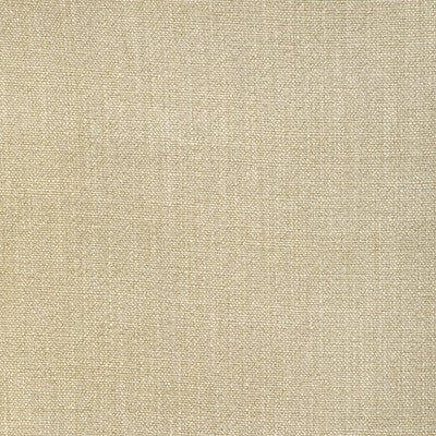 KRAVET BASICS  TEXTURE BEIGE,BEIGE,BEIGE   - 35189.116.0