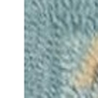 3' X 5' Blue Corals And Shells Area Rug