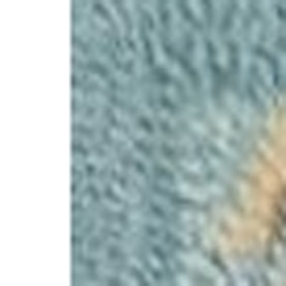 3' X 5' Blue Corals And Shells Area Rug