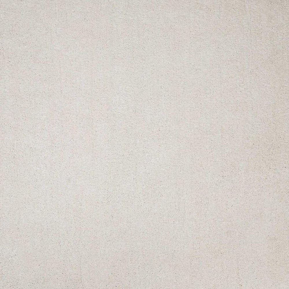 2' X 4' Ivory Hand Woven Area Rug