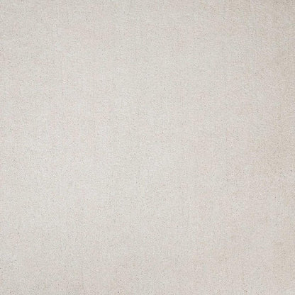 2' X 4' Ivory Hand Woven Area Rug