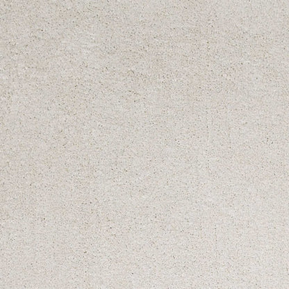 2' X 4' Ivory Hand Woven Area Rug