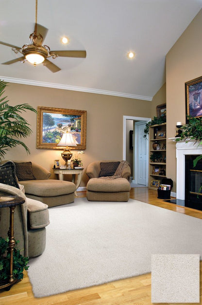 2' X 4' Ivory Hand Woven Area Rug