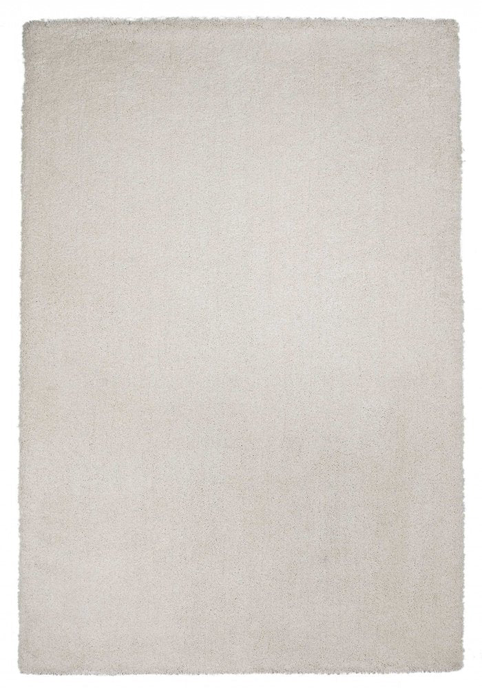 2' X 4' Ivory Hand Woven Area Rug