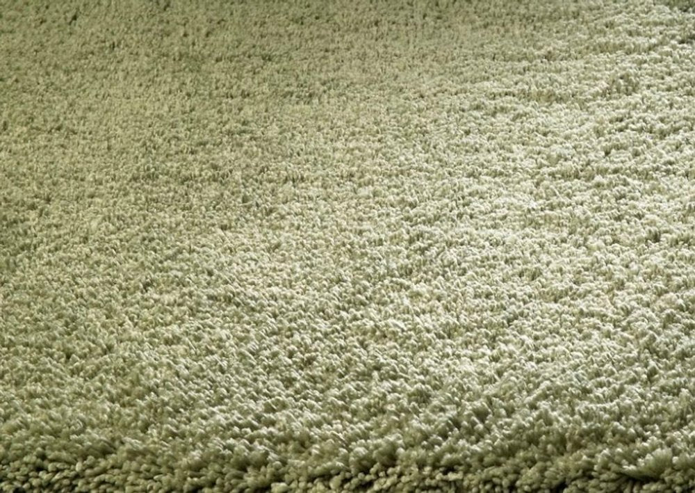 8' X 10' Sage Shag Hand Woven Area Rug