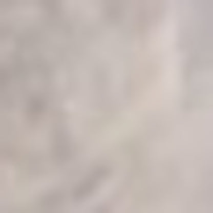 8' Light Grey Floral Round Indoor Area Rug