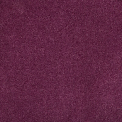 KRAVET DESIGN VELVET TEXTURE PURPLE,PURPLE,   - 35366.10.0