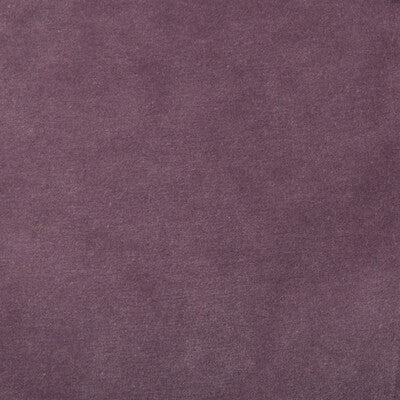 KRAVET DESIGN VELVET TEXTURE PURPLE,PURPLE,   - 35366.110.0