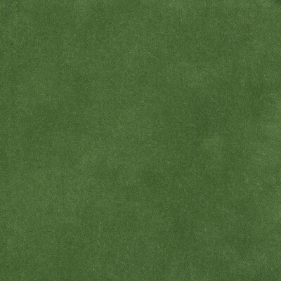 KRAVET DESIGN VELVET TEXTURE GREEN,GREEN,   - 35366.13.0