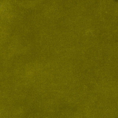 KRAVET DESIGN VELVET TEXTURE GREEN,GREEN,   - 35366.340.0