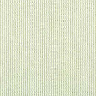 KRAVET BASICS INDOOR / OUTDOOR  CELERY,WHITE,   - 35374.3.0