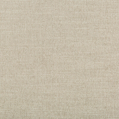 KRAVET DESIGN  TEXTURE LIGHT GREY,LIGHT GREY,   - 35397.11.0