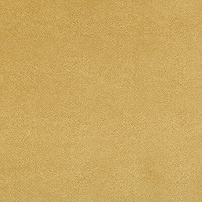 KRAVET CONTRACT VELVET TEXTURE YELLOW,YELLOW,   - 35402.4.0