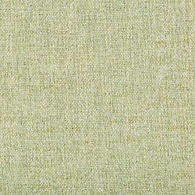 KRAVET BASICS  TEXTURE LIGHT GREEN,CELERY,WHITE   - 35455.23.0