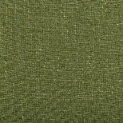 KRAVET DESIGN  TEXTURE GREEN,GREEN,   - 35520.13.0