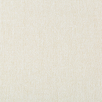 KRAVET COUTURE INDOOR / OUTDOOR SOLID WHITE,IVORY,   - 35538.1.0