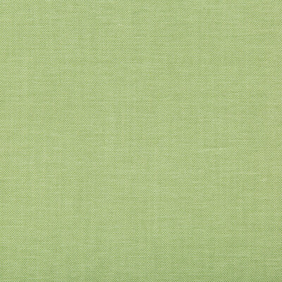 KRAVET BASICS  TEXTURE CELERY,GREEN,   - 35543.13.0