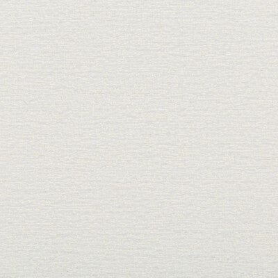 KRAVET DESIGN  TEXTURE WHITE,WHITE,   - 35575.101.0