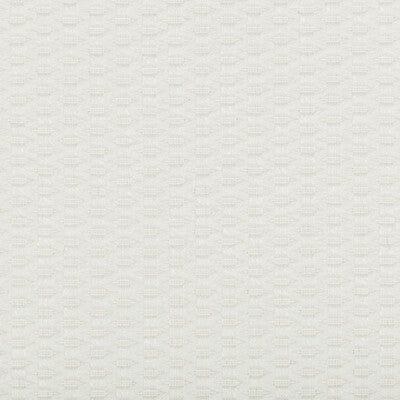 KRAVET DESIGN  TEXTURE WHITE,WHITE,   - 35583.101.0