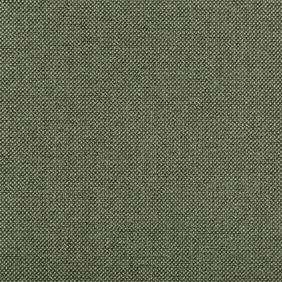 KRAVET CONTRACT  TEXTURE GREEN,CHARCOAL,   - 35744.321.0