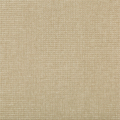 KRAVET CONTRACT  TEXTURE BEIGE,BEIGE,   - 35745.116.0