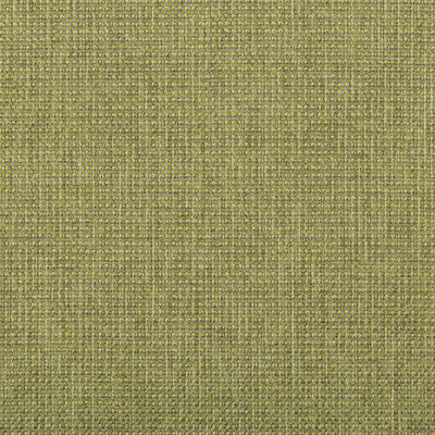 KRAVET CONTRACT  TEXTURE GREEN,CELERY,   - 35745.314.0