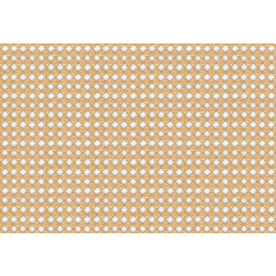 KRAVET COUTURE SHEER METALLIC YELLOW,GOLD,   - 3576.404.0