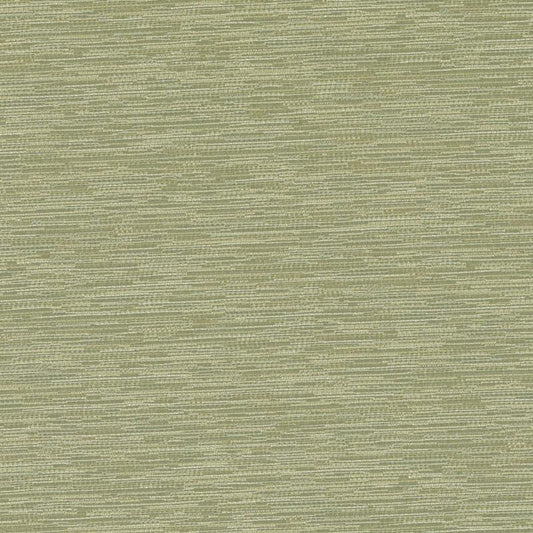 Duralee Dk61162 | 254-Spring Gree  Upholstery     - 358119