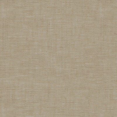 KRAVET BASICS SHEER TEXTURE BEIGE,BEIGE,   - 3582.106.0